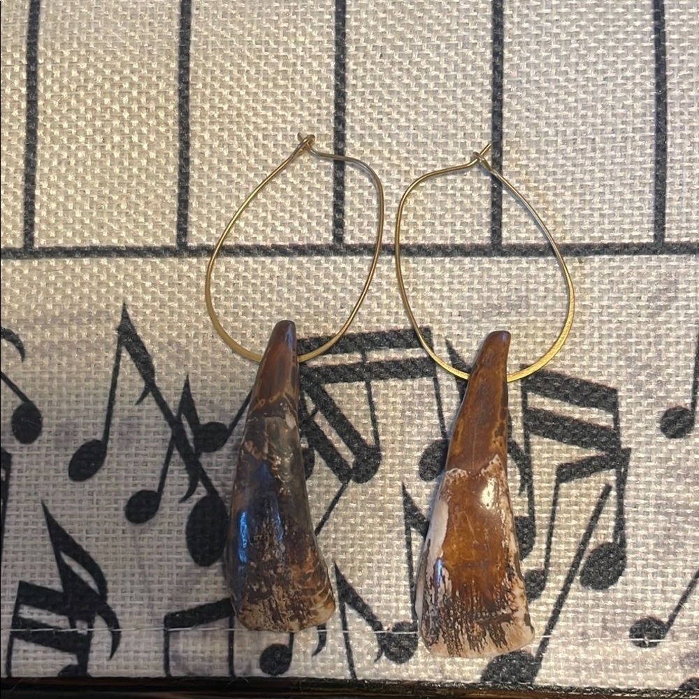 Authentic Buffalo Bison Teeth on Brass Irregular Hoop Very Unique Earrings